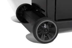 Broil King Royal 340 Gasgrill Inkl. Grillfürst Fettschiene - Modell 2023 -Party-Bbq 21511 Broil King Royal 824263 ROYAL 340 8 1587312062