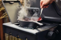 Napoleon Freestyle 365 Gasgrill, Graphit - Mit Seitenbrenner - Modell 2023 -Party-Bbq Napoleon Freestyle Seitenkocher