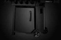 Napoleon Phantom Freestyle 425 Gasgrill, Mattschwarz - Mit Sizzle Zone Und Tür - Modell 2023 23 Napoleon Phantom Freestyle 425 Gasgrill, Mattschwarz - Mit Sizzle Zone Und Tür - Modell 2023 -Party-Bbq Napoleon Phantom Freestyle F425DSIBPK PHM Detail Compartment