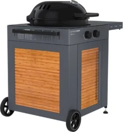 Outdoorchef Gas Kugelgrill Arosa 570 G Bamboo -Party-Bbq ODC Arosa 570 G Bamboo ohne Seitenteil 18 128 59