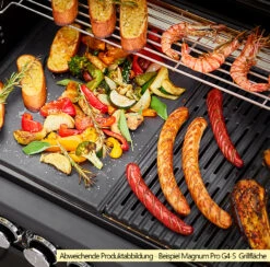 Rösle Gasgrill Magnum PRO G3 - X-DEAL Inkl. Abdeckhaube, Gusseisen Grillplatte Und Drehspieß - Modell 2023 -Party-Bbq Roesle Magnum Pro Grillflaeche Beispiel G4 S 1