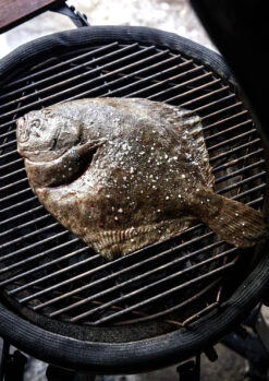 The Bastard Keramikgrill Classic Medium - Complete - Schwarz Glänzend - Modell 2023 -Party-Bbq The Bastard Medium Keramikgrill Grillflaeche 1