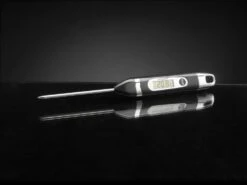 Napoleon Digital Grillthermometer / Einstechthermometer -Party-Bbq napoleon digital thermometer 61010 f