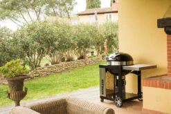 Napoleon Holzkohlegrill Kugelgrill Ø 57cm Im Rollwagen Mit Gussrost Und Deckelscharnier PRO22K-Cart-2 -Party-Bbq napoleon grill terrasse PRO22K CART 2