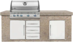 Napoleon LEX 605 Edelstahl Einbaugrill Gas - Modell 2023 -Party-Bbq napoleon lex605 einbaugrill monatgebeispiel