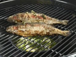 Outdoorchef Gusseisenpfanne / Aromapfanne Ø 23cm -Party-Bbq outdoorchef aromapfanne 18 211 71 f