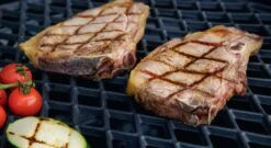 Outdoorchef Gusseisen Grillrost Diamond Für 480er Kugelgrills